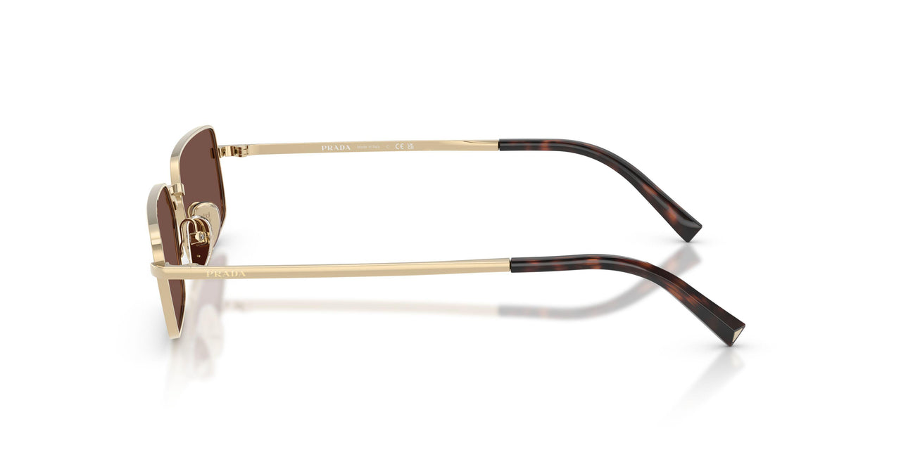 ZVN80T - Gold - Black Chocolate