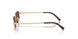 ZVN80T - Gold - Black Chocolate