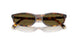 14L09Z - Tortoise - Dark Brown