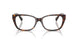 8015 - Tortoise