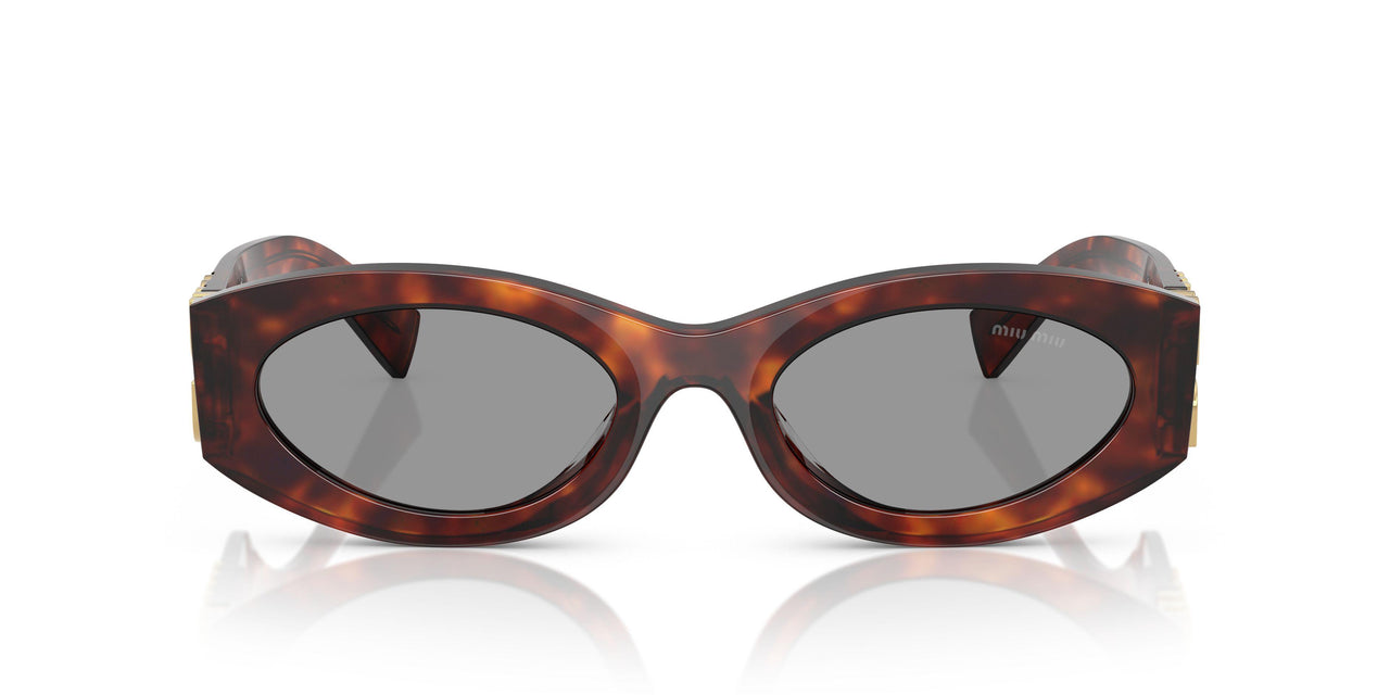 21C40O - Tortoise - Grey