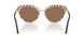 321713 - Tortoise - Dark Brown