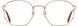 American Optical WESLEY Eyeglasses