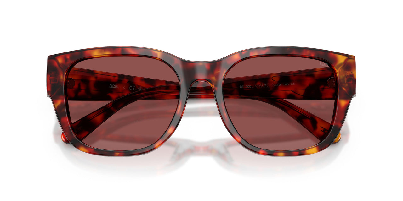 202375 - Tortoise - Dark Violet/red
