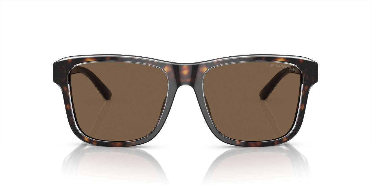 605273 - Tortoise - Dark Brown