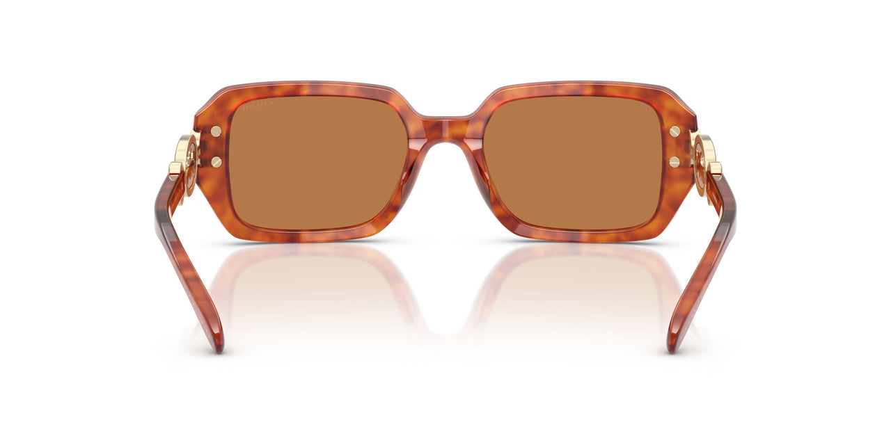577473 - Tortoise - Amber Solid