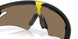 949908 - Black - Prizm 24k Polarized