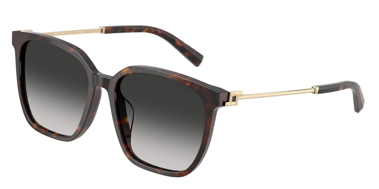 Tiffany 4244D Sunglasses