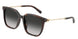 80153C - Tortoise - Grey Gradient