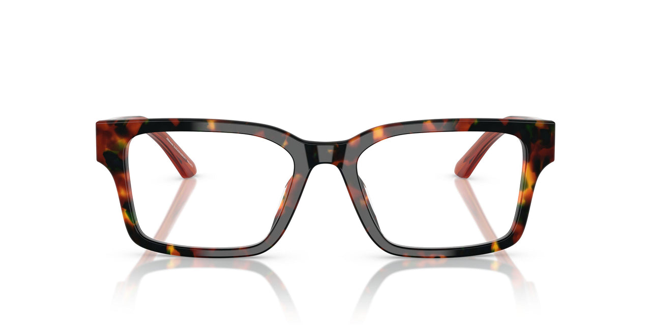 6182 - Tortoise