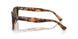 613873 - Tortoise - Brown