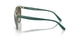 302213 - Green - Brown Gradient