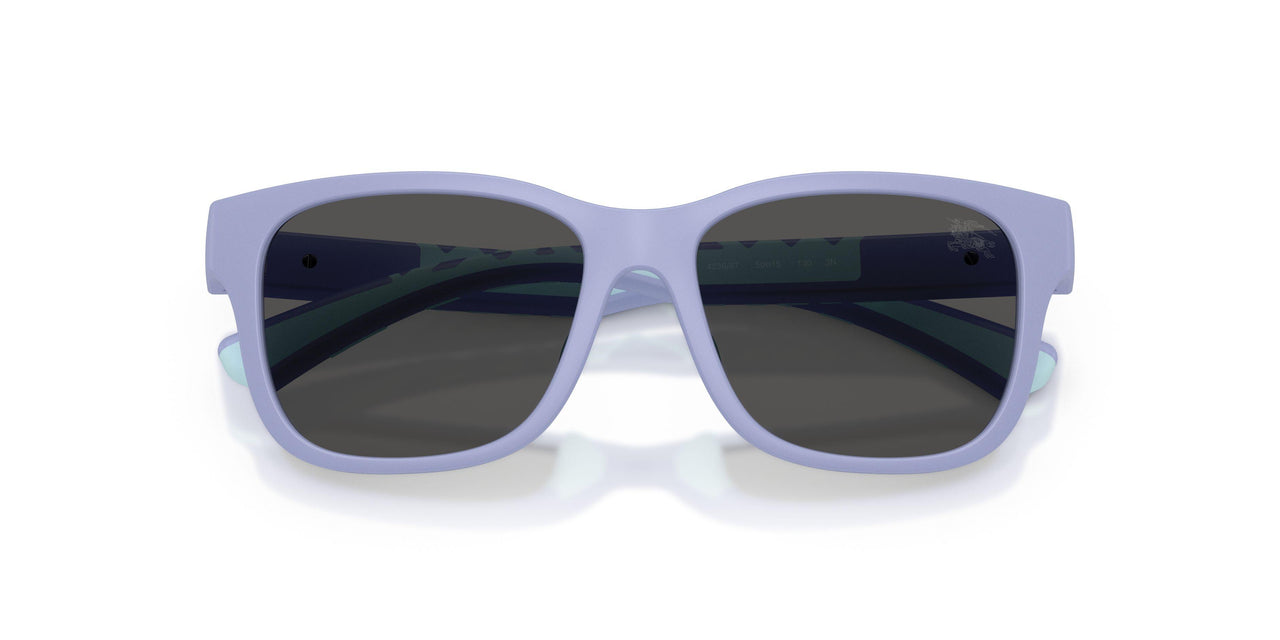 423687 - Violet - Dark Grey