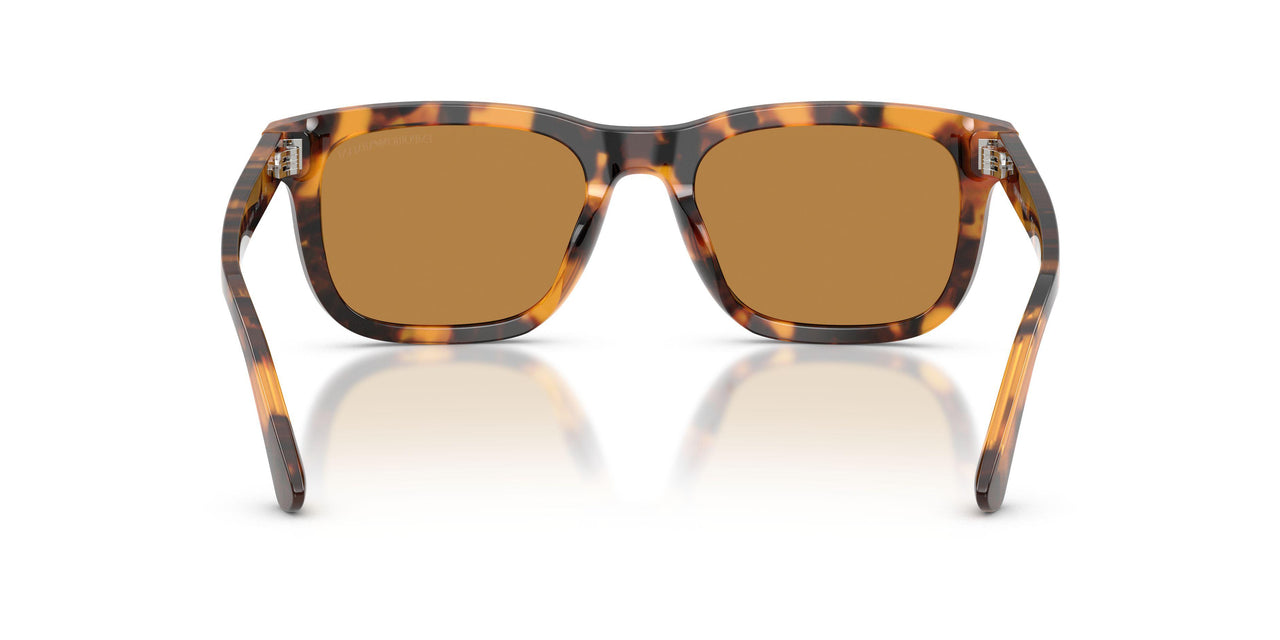 591693 - Tortoise - Light Brown