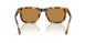 591693 - Tortoise - Light Brown