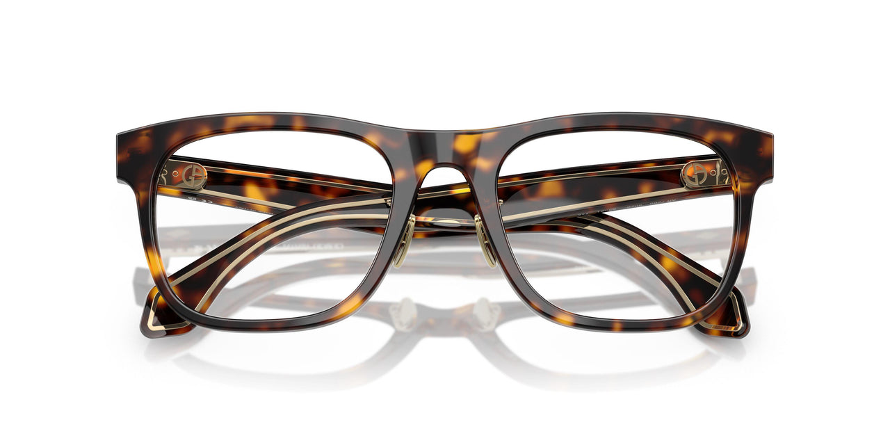 5026 - Tortoise