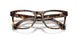 5026 - Tortoise