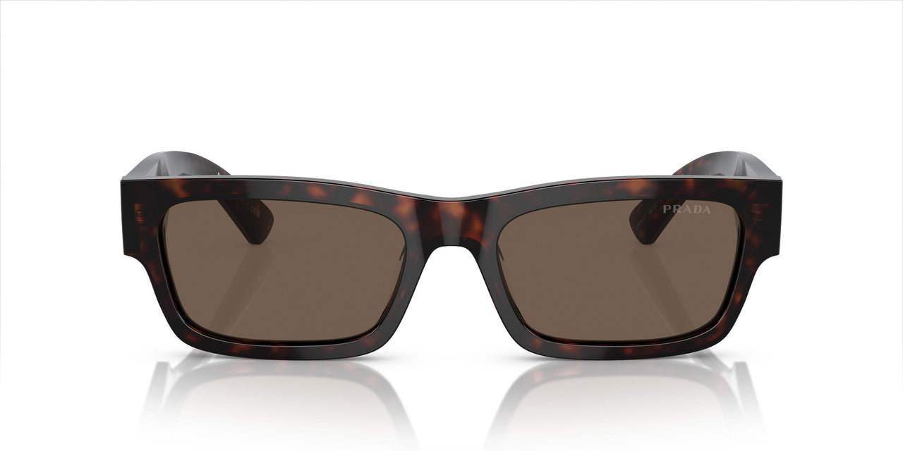 17N08T - Brown - Brown