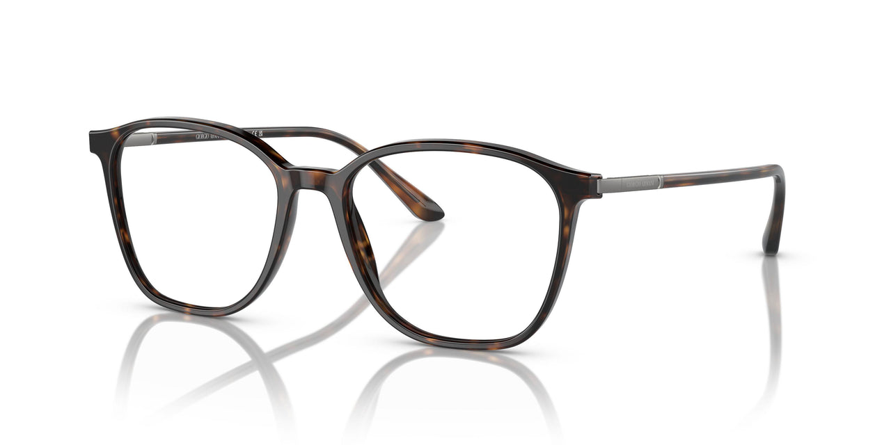 5026 - Tortoise