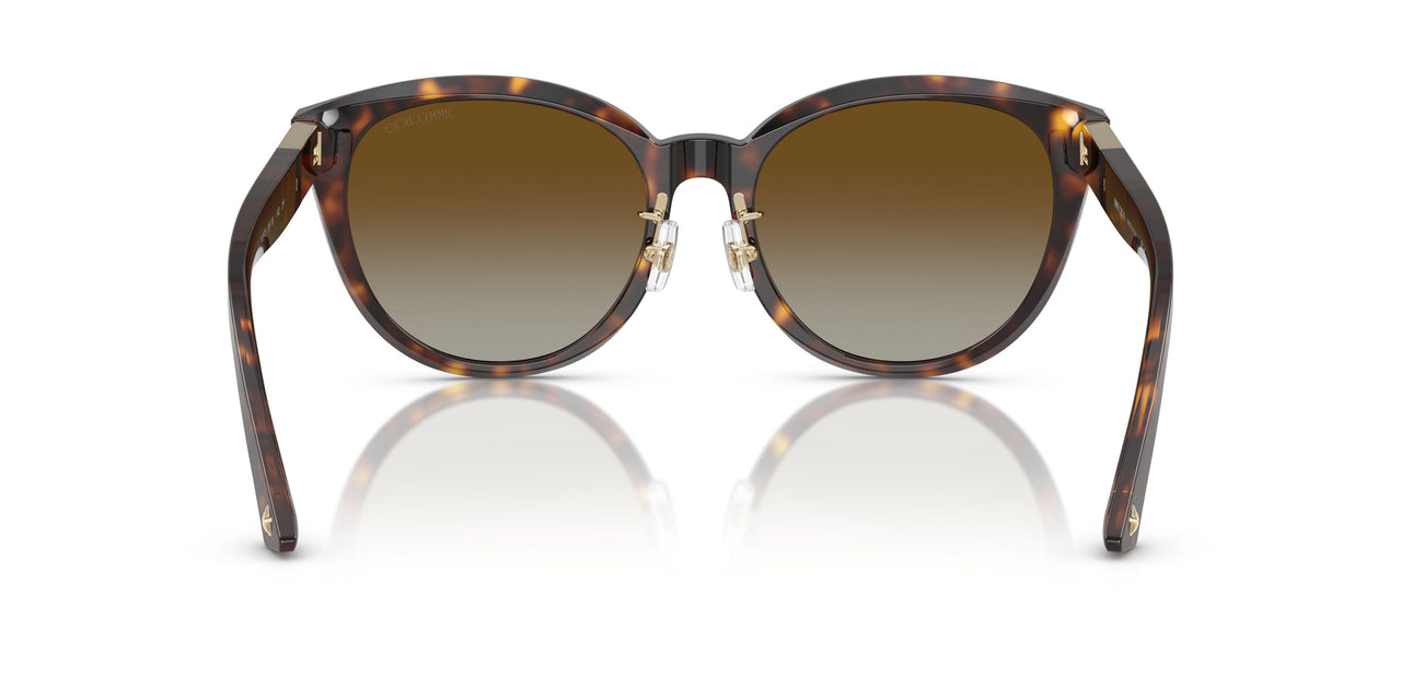 5002T5 - Tortoise - Brown Gradient Polar
