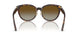 5002T5 - Tortoise - Brown Gradient Polar
