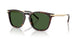 500371 - Brown - Bottle Green