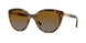 1508T5 - Brown - Grey Gradient Brown Polar