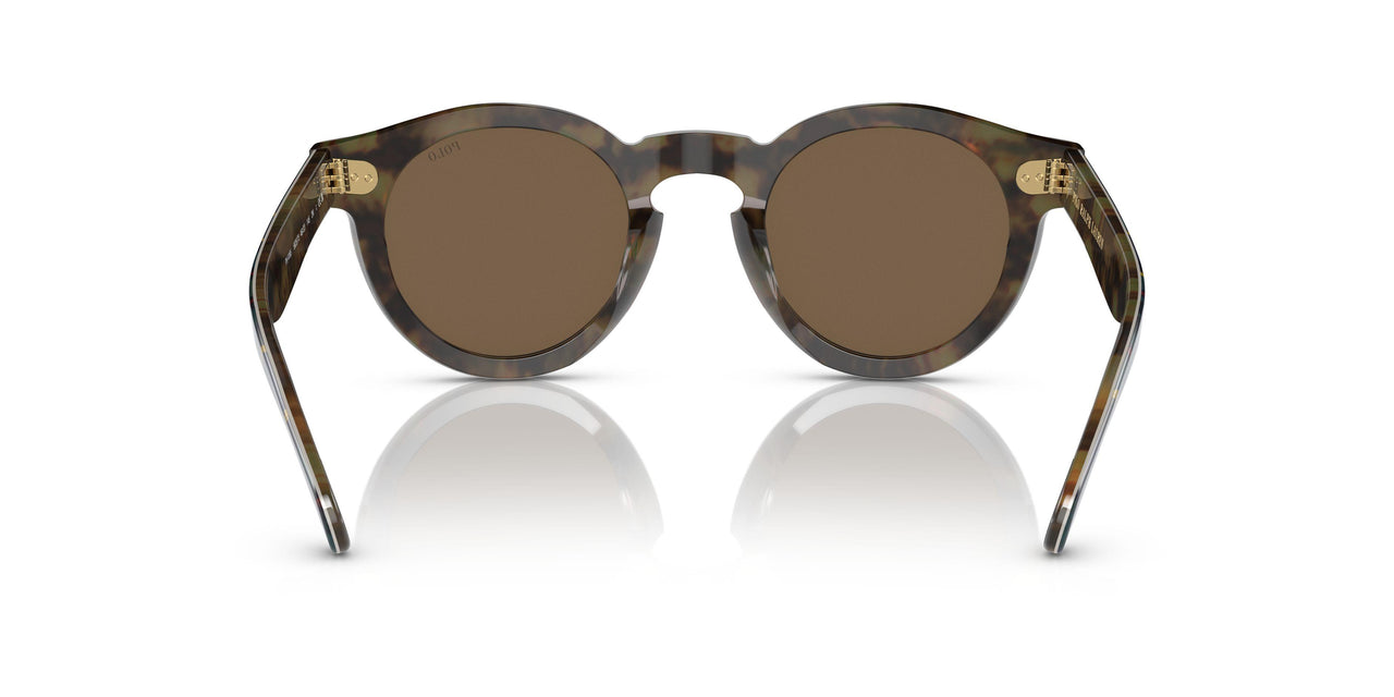 562573 - Multicolor - Brown