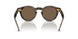562573 - Multicolor - Brown