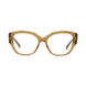 047 - Shiny Brown - DEMO