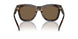 300673 - Tortoise - Dark Brown