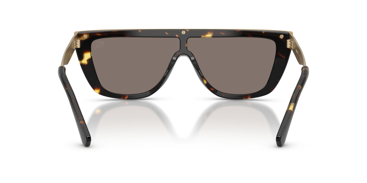 13595A - Tortoise - Light Brown Mirror Gold