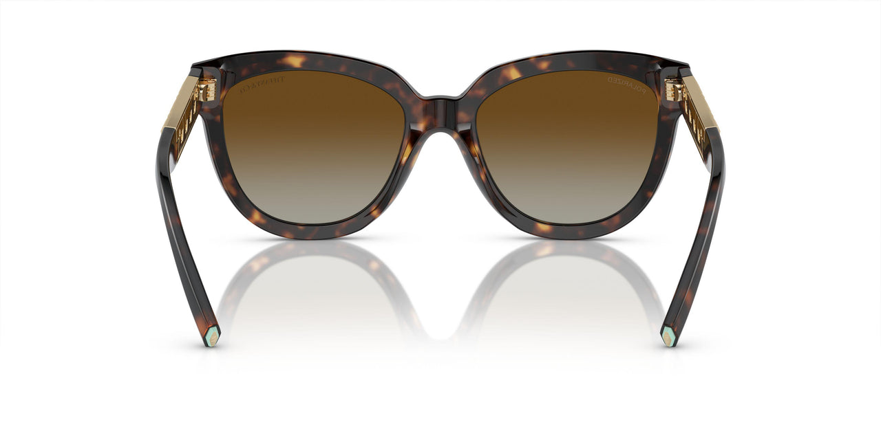 8015T5 - Tortoise - Polar Brown Gradient