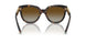 8015T5 - Tortoise - Polar Brown Gradient