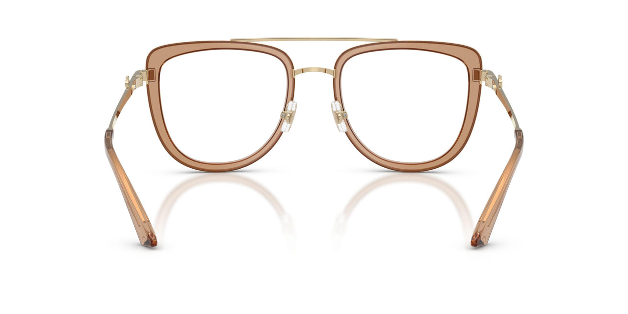 3006 - Brown