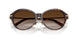 80153B - Tortoise - Brown Gradient