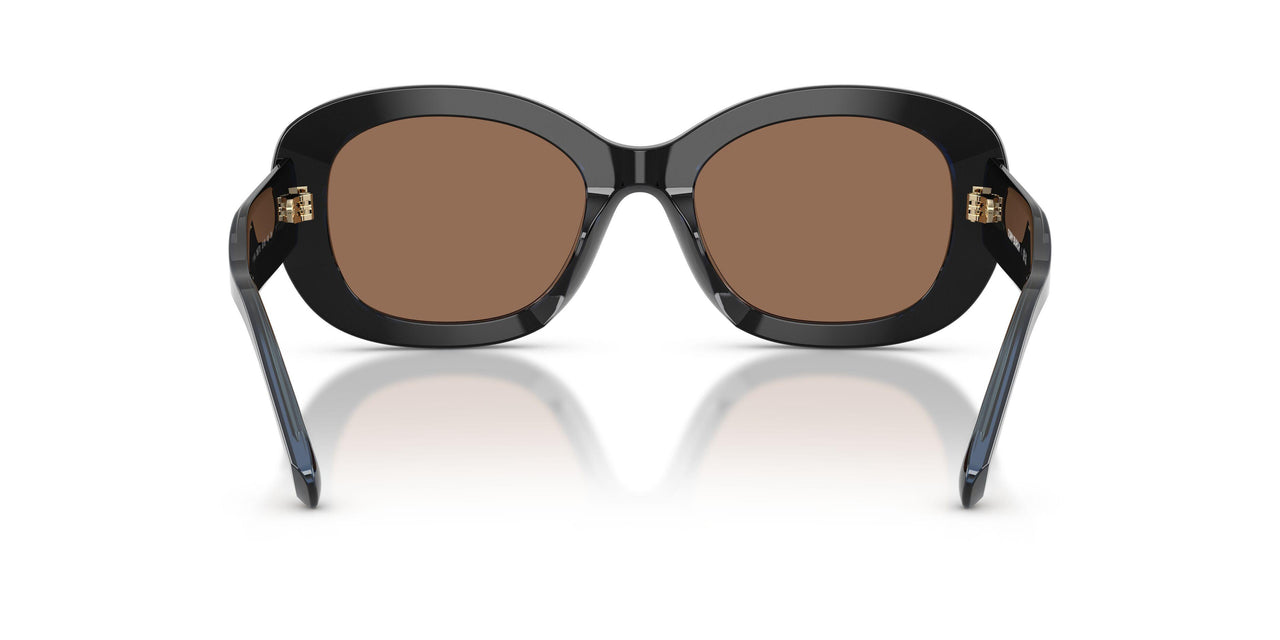 205773 - Blue - Solid Brown