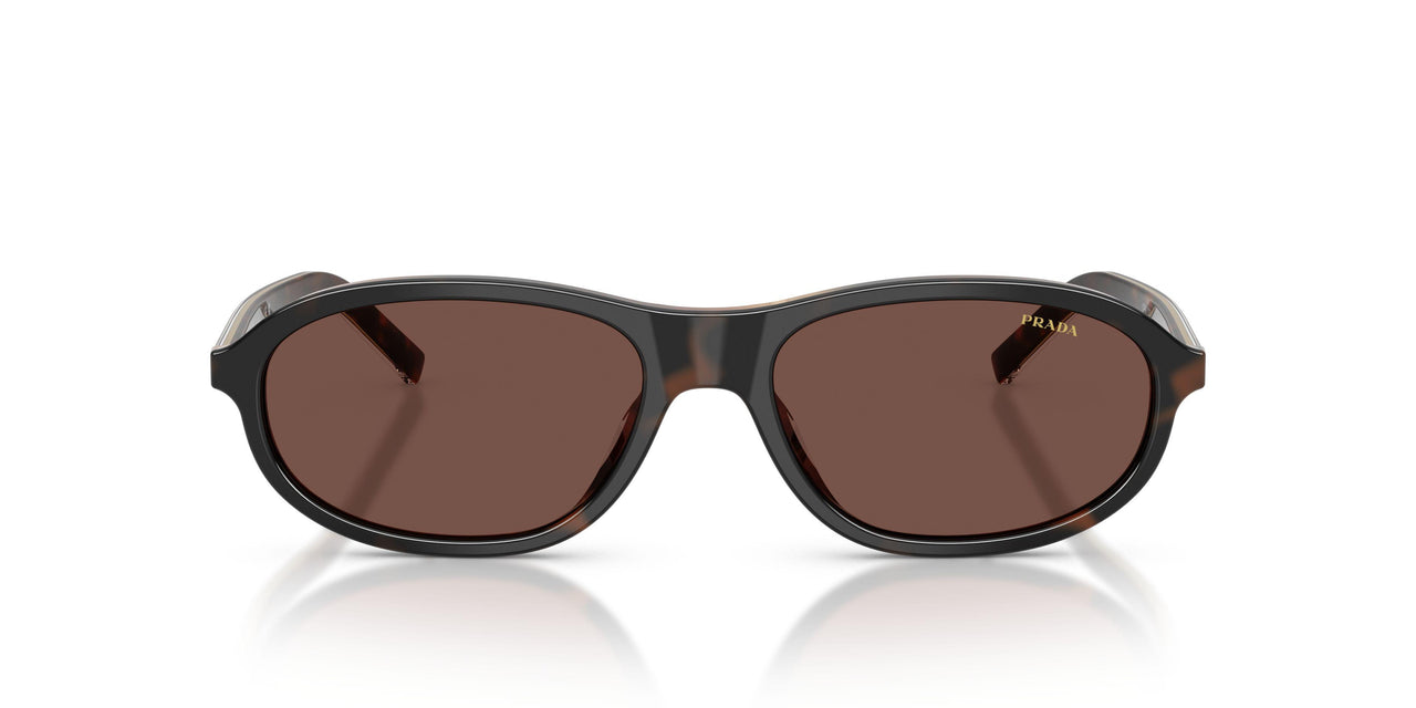 20P90W - Tortoise - Black Chocolate