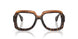 005 - Tortoise