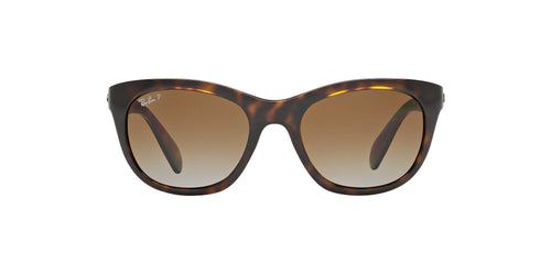 Ray-Ban 4216 Sunglasses