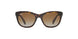 Ray-Ban 4216 Sunglasses