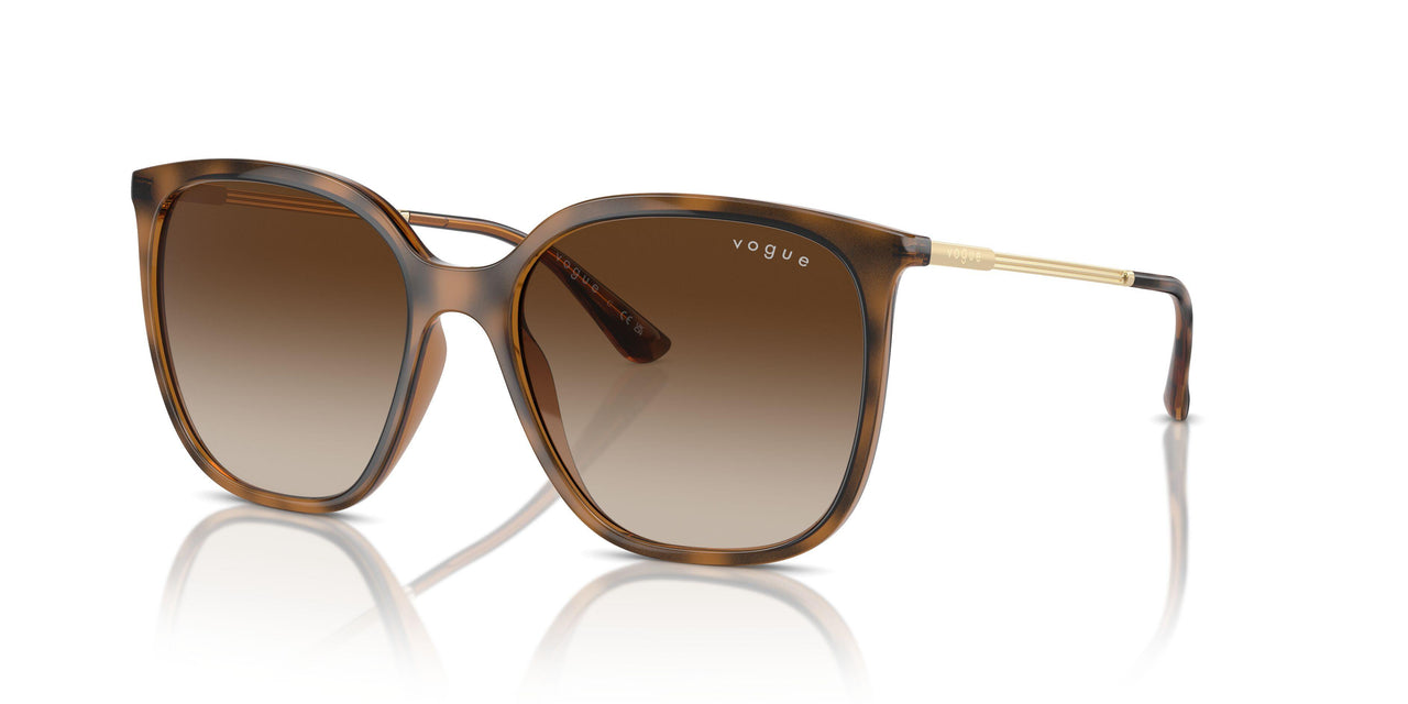 238613 - Brown - Gradient Brown