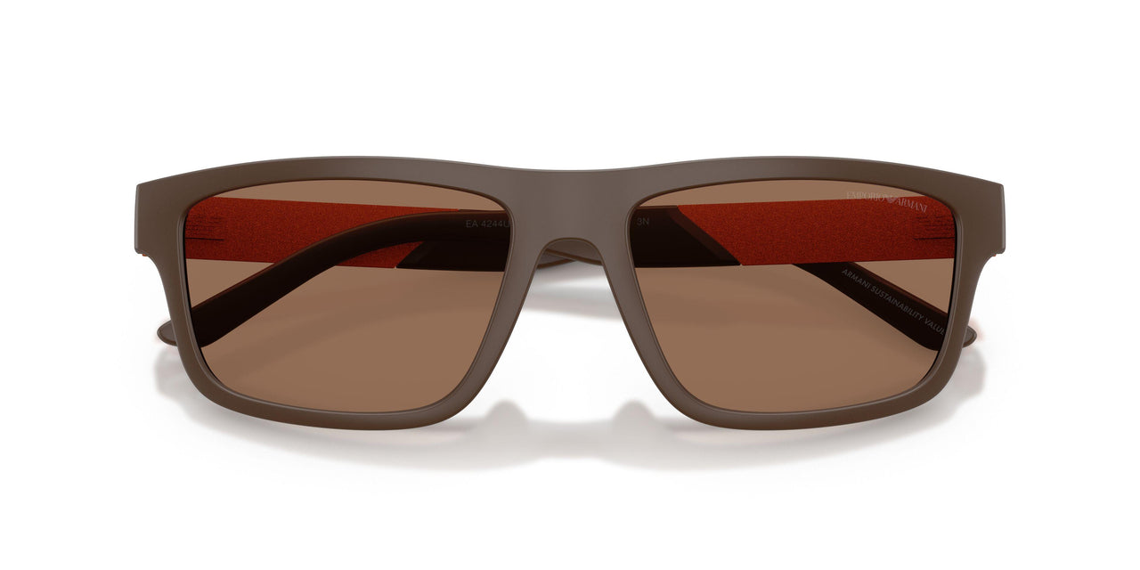 624373 - Brown - Dark Brown