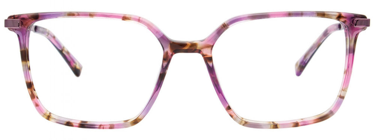 30 - Pink Tortoise
