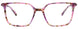 30 - Pink Tortoise