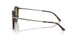 640353 - Tortoise - Green