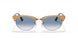 13063F - Light Brown - Clear Gradient Blue