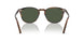 17249A - Brown - Green Polarized