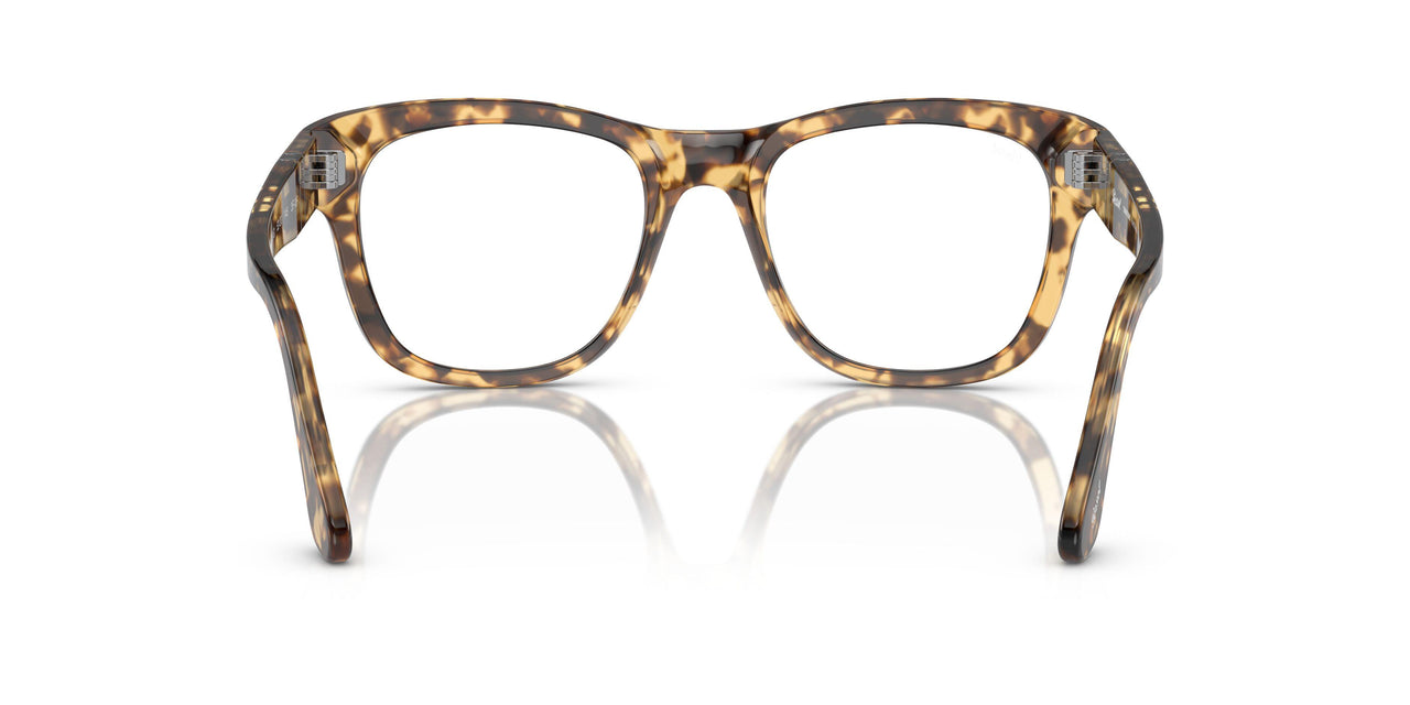 1056GI - Tortoise - Transitions 8 Brown