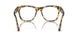 1056GI - Tortoise - Transitions 8 Brown